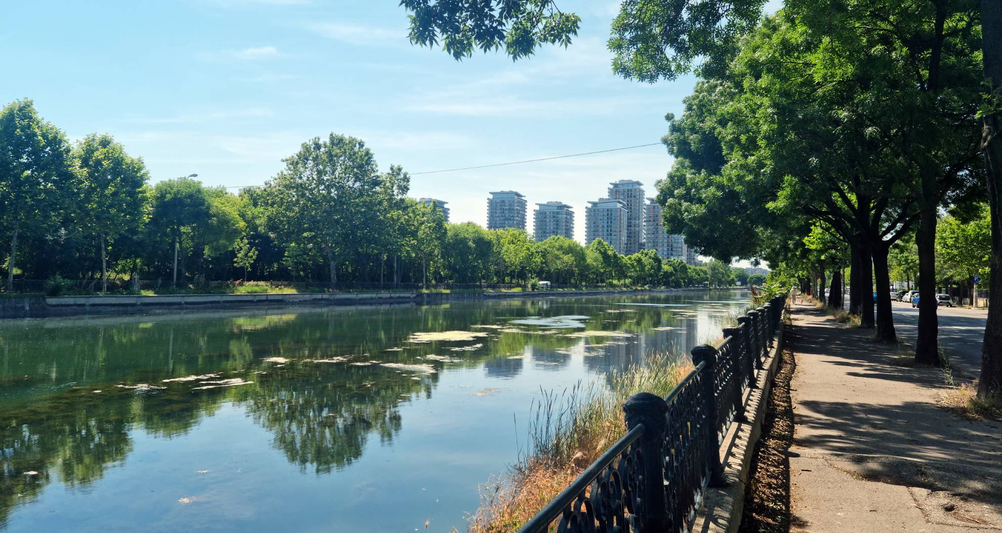 Eveniment: Curățăm și plantăm malul Dâmboviței! - Revista Ecologic