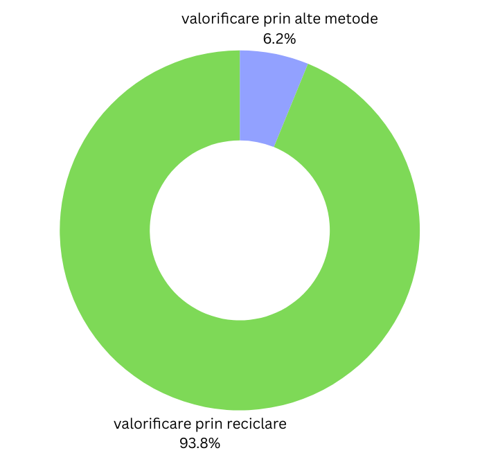 Valorificarea deșeurilor de ambalaje: reciclare și alte metode decât reciclare