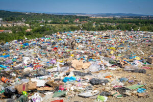 Vizita gorj3 site f