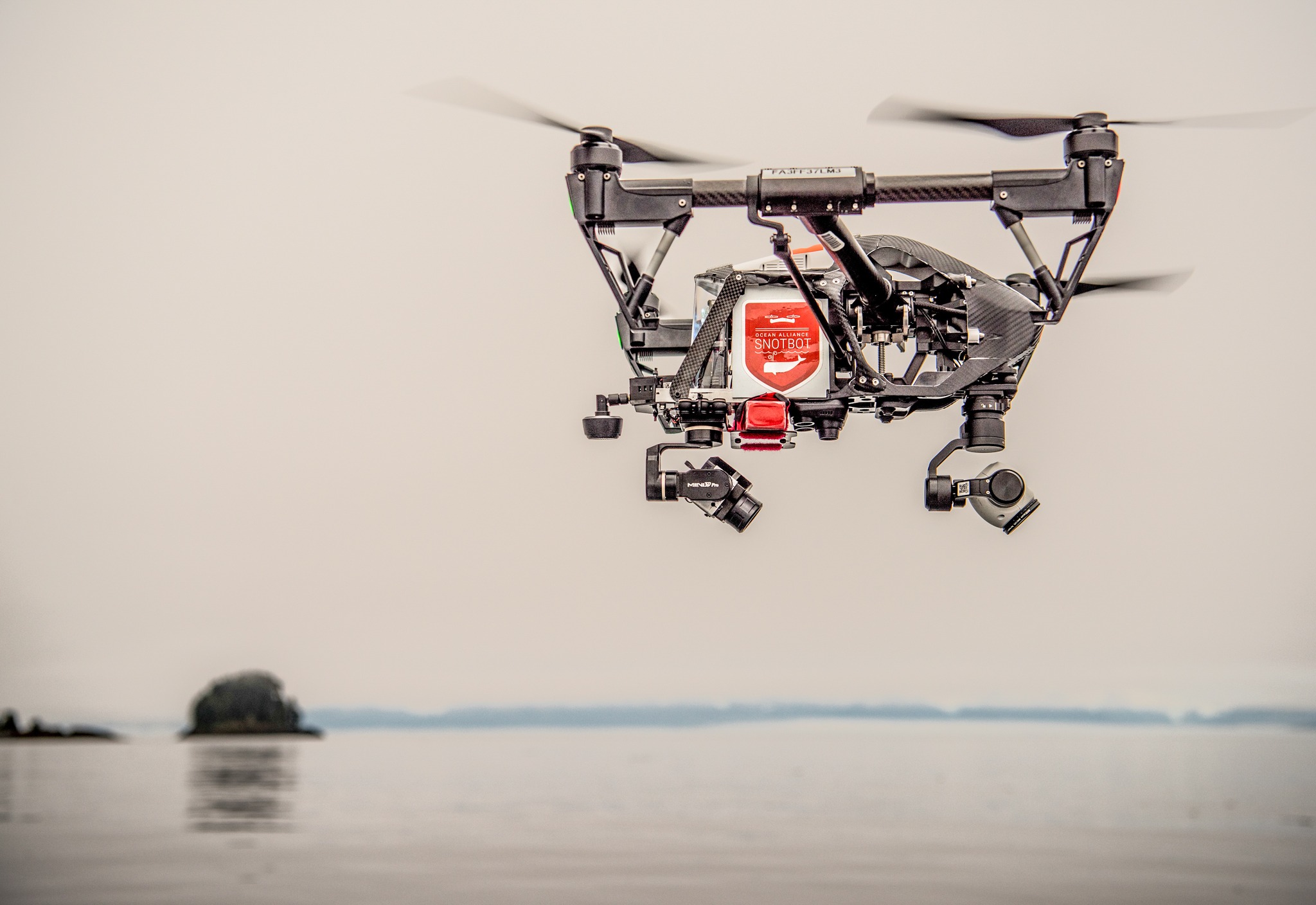 balene drone2
