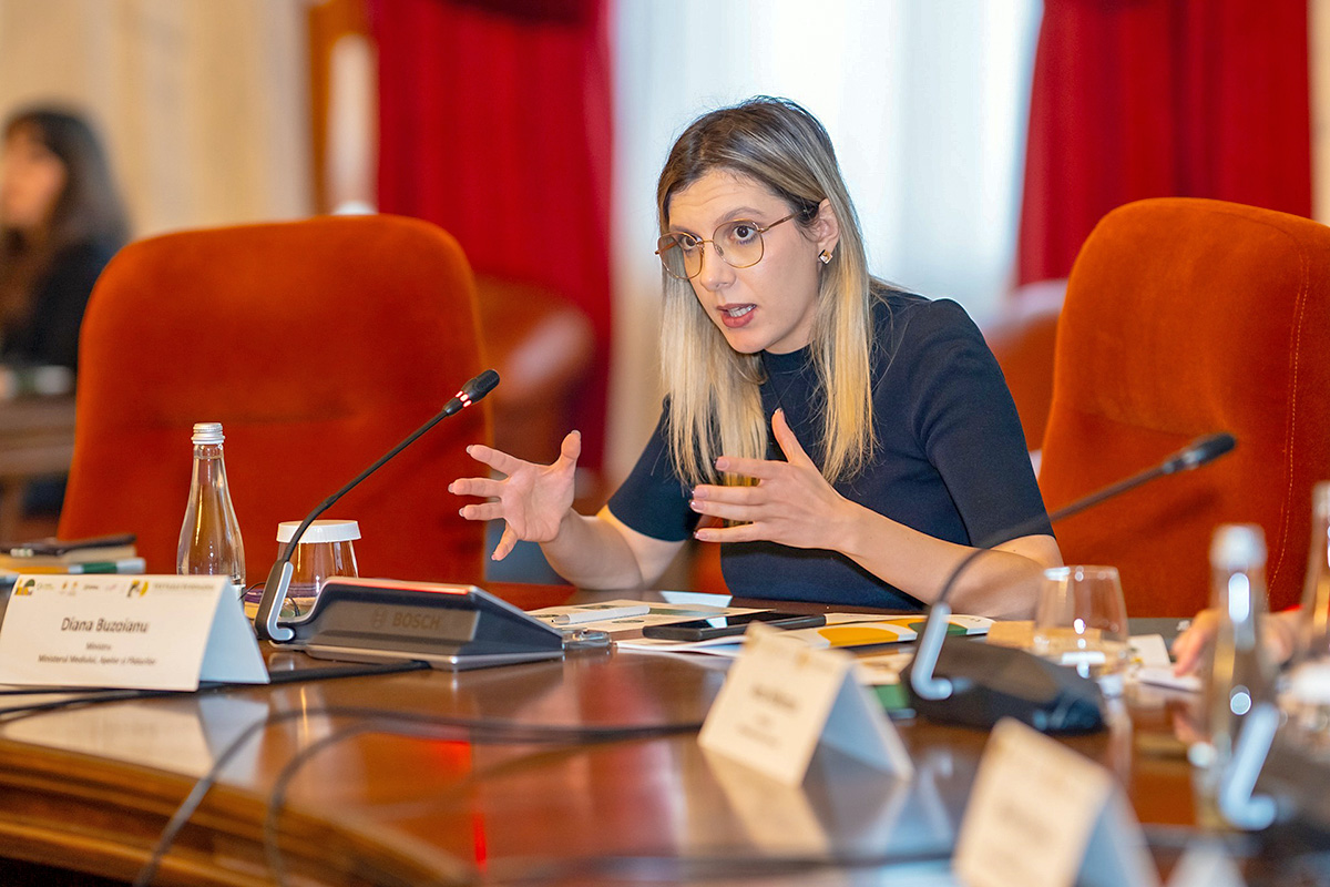 Textilele în România: de la Directiva UE la implementare și necesitatea unui sistem funcțional, adaptat realităților locale 1 Diana Buzoianu site