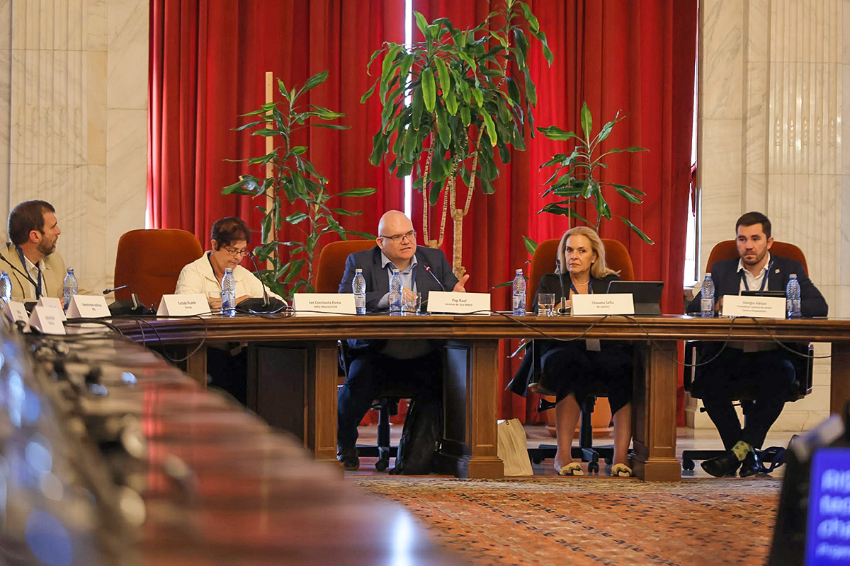 RISBAT Workshop & Matchmaking Event: un proiect european axat pe managementul bateriilor Li-ion 8 rispa site7
